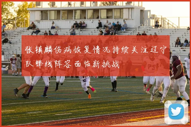 张镇麟伤病恢复情况持续关注辽宁队锋线阵容面临新挑战
